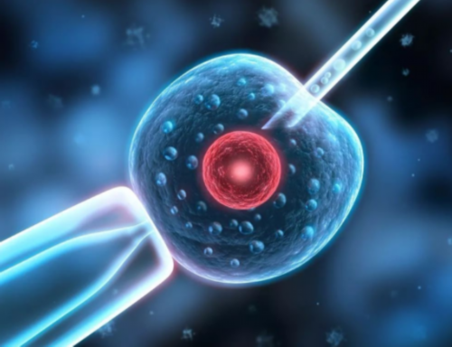 湖北武汉试管婴儿医院供卵排队时间长吗？