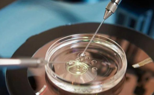 供卵申请条件是什么_武汉助孕上海助孕,武汉三代试管比较好的医院排名[湖北试