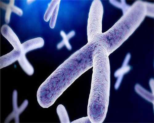 生殖代孕中心_代孕专业的公司,雪蛤是不是有助于胚胎着床？