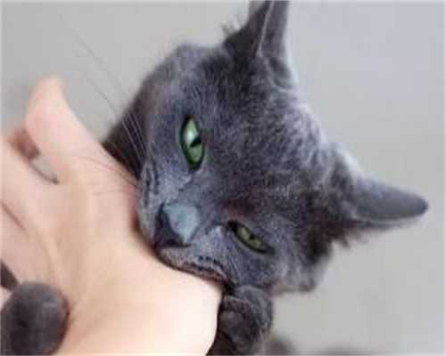 助孕生殖公司-受精卵着床有什么感觉,受精卵着床后能同房吗