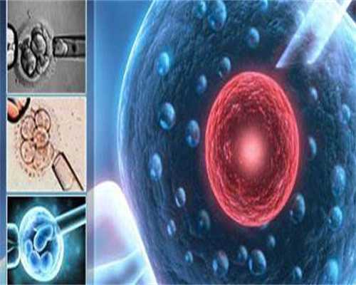 武汉市中心医院人工授精多少钱
						