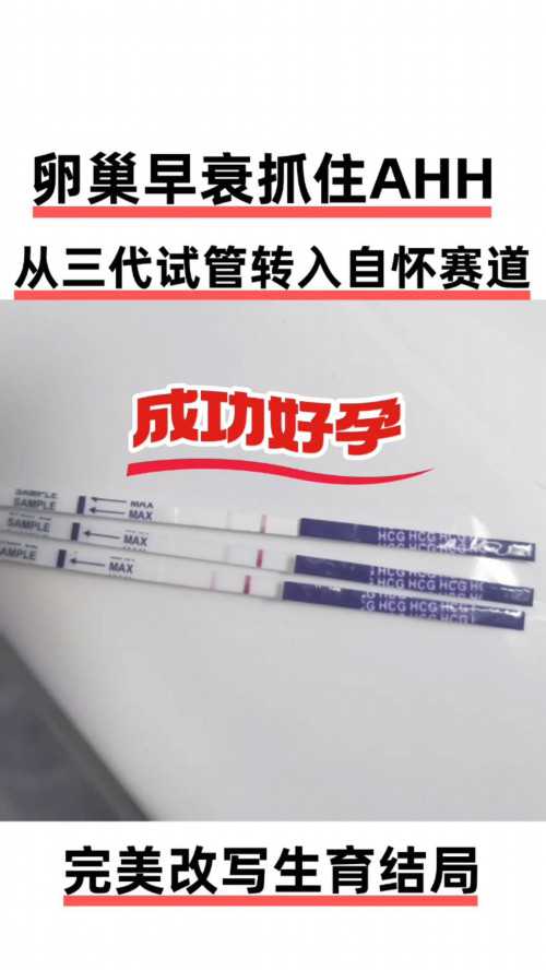 
              在武汉能做三代试管的私立医院哪些成功率比较高？
            