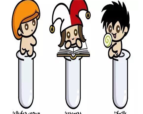 能做借卵试管-荆门试管婴儿补贴多少钱，详解