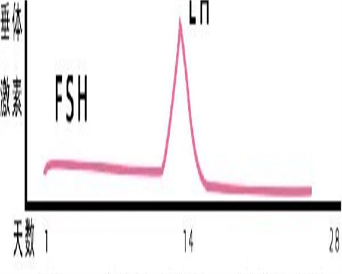 湖北襄阳试管婴儿医院排名是怎样
						
