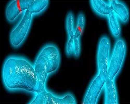 现在国内能代孕吗,弄清卵巢黄体破裂的意思「黄体破裂是什么意思」