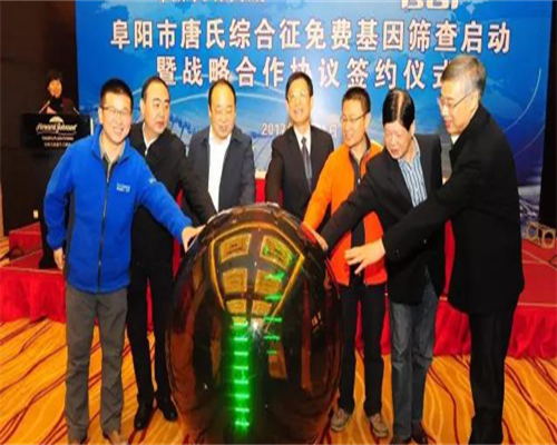 正规代孕有哪些,Y型子宫归于什么变形？Y形子宫应该怎么医治？