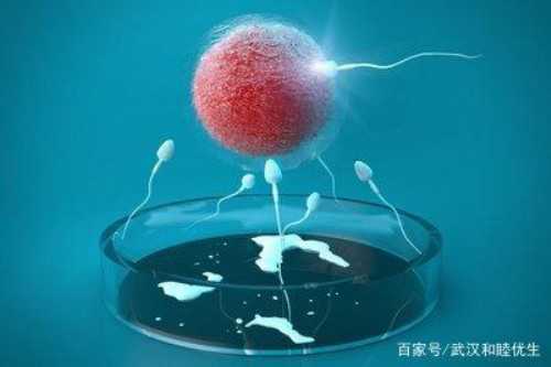 武汉大学人民医院试管婴儿医生排名，附最新费用价格！