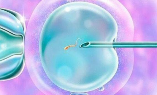 靠谱代孕套餐,输卵管切除能做试管吗多少钱一次？输卵管切除还能做试管吗?？