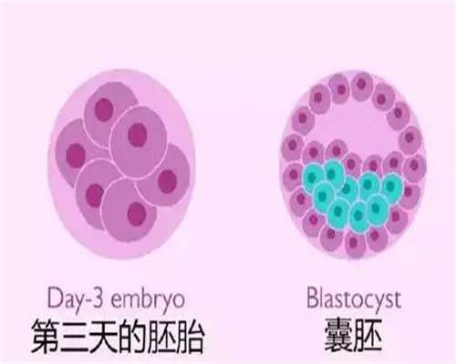 【武汉试管婴儿助孕中心供卵供卵试管男孩】女同性恋是怎样操作生孩子的？
