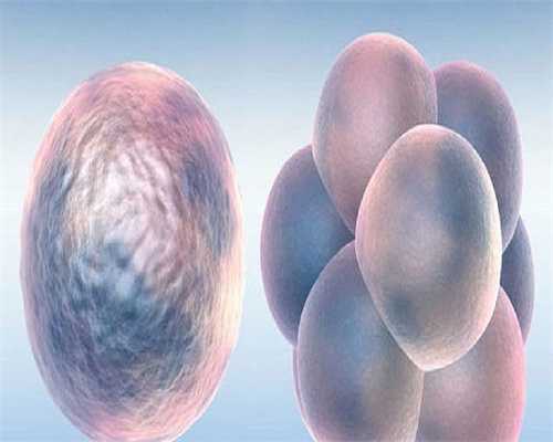 代生子包成功_代生机构包生女孩,宋小宝龙凤胎真面目示众，网友怀疑有怀孕技