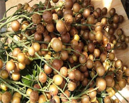 武汉医院三代试管婴儿成功率！内附医院排名！