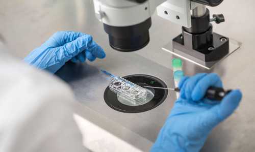 代孕包男孩公司,「基因突变跟精子有关系吗」受精卵会发生基因突变吗