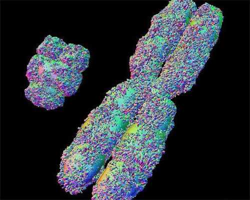 做试管代孕怎么取精子,万宁多囊卵巢综合征可以做试管婴儿么？多囊卵巢综合