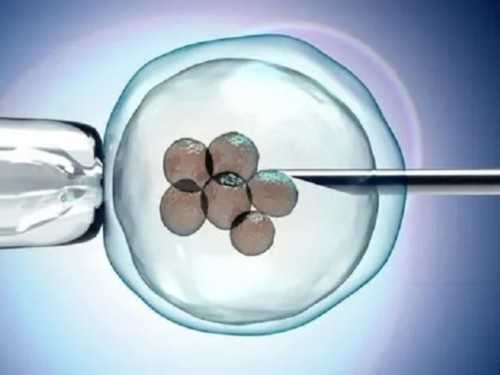 湖北武汉哪家供卵试管婴儿好？