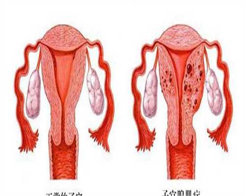 襄阳做试管婴儿多少钱！都是哪些方面！