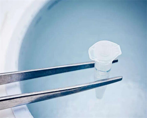 为什么试管婴儿染色体异常多