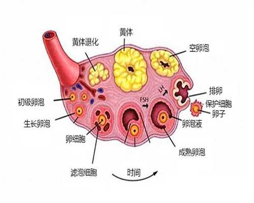 武汉三代试管一般多少钱,武汉三代试管多少钱一次