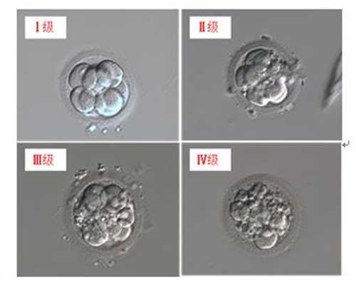 代孕中介哪里最安全-武汉公立医院供卵要求_子宫壁薄 影响怀孕，又该如何调理