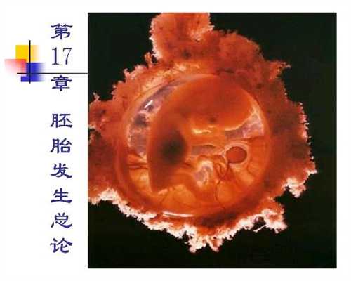 武汉代孕男宝宝-找人代孕具体怎么操作的_儿童发烧服用扑热息痛或会增加哮喘